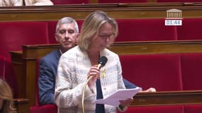 "Cette jeune fille, c'était moi": émue, la députée Renaissance, Virginie Lanlo, interpelle Gabriel Attal sur le harcèlement en parlant de son vécu