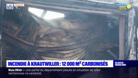 Bas-Rhin: un incendie ravage 12 000 m2 au Moulin des Moines à Krautwiller