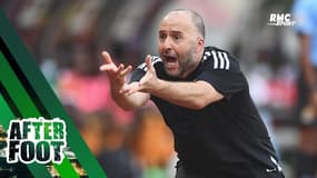 Algérie : "Est-ce que Belmadi aura la force de repartir sur un cycle ?" s'interroge Hamza Rahmani