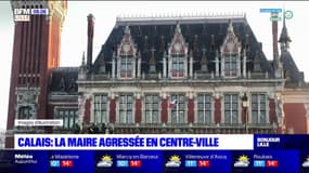 Calais: agressée en centre-ville, la maire LR Natacha Bouchart porte plainte