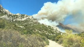 Le feu dans les Alpilles a parcouru 120 hectares. 