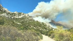 Le feu dans les Alpilles a parcouru 120 hectares.