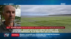 Bretagne : les algues vertes gâchent l'été en se décomposant, elles émettent un gaz toxique