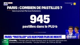 Paris: "pastiller" les HLM pour plus de mixité, nos explications