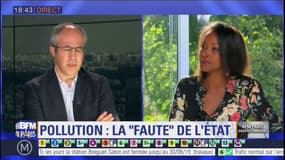 La justice reconnaît une "faute" de l'État dans la pollution de l'air: "une décision qui fera date", salue maître François Lafforgue, avocat des plaignants 
