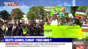Marche pour le climat: les gilets jaunes au milieu des écologistes