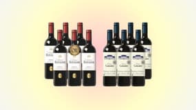 Plus de 10 bouteilles de vin à un prix encore jamais vu, c'est le moment de refaire son stock