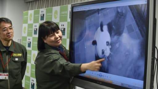 Une responsable du zoo d'Ueno à Tokyo, Mikako Kaneko (G) montre un bébé panda lors d'une conférence de presse le 12 juin 2017