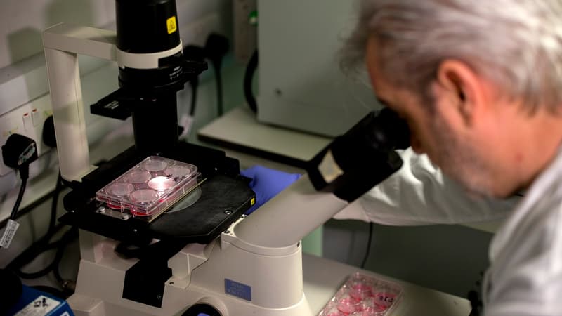 Plusieurs laboratoires se sont lancés dans la recherche d'un vaccin. 