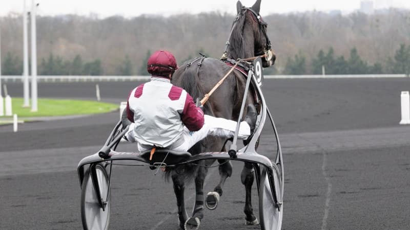 Ready Cash s'est éteint à l'âge de 18 ans