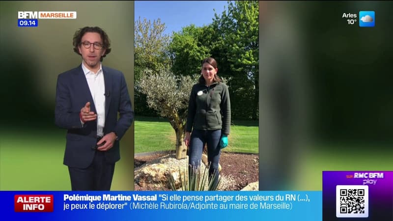 Samba...Rio de Janeiro ! - La météo de Colas du mardi 2 décembre 2025