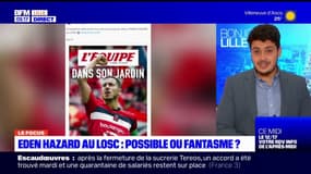 Eden Hazard au LOSC: possible ou fantasme?