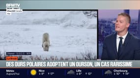 Le break du jeudi 18 décembre