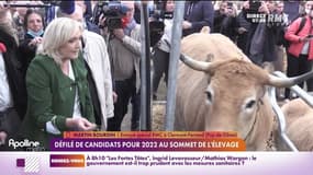 RMC chez vous : Défilé de candidats pour 2022 au Sommet de l'élevage - 08/10