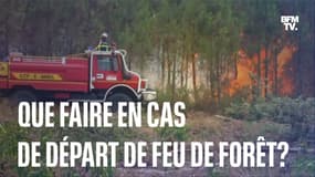 Que faire en cas de départ de feu de forêt cet été?  