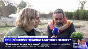 Sécheresse hivernale: la solution de l'arrosage au goutte à goutte