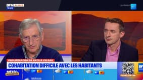 Bonsoir Alsace du lundi 2 février 2026