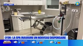 Lyon 3e : la SPA inaugure un nouveau dispensaire
