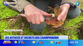 Balades Normandes du samedi 5 octobre 2024
