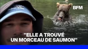 États-Unis: un pêcheur filme le moment où un grizzly s'approche de son bateau pour pêcher