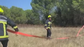 18 pompiers volontaires et professionnels se trouvaient à Vidauban, ce mercredi 21 août, pour réaliser un entraînement préventif. 