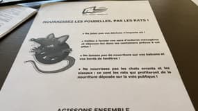 La ville de La Seyne-sur-Mer entend lutter contre la prolifération des rats.
