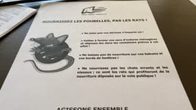 La ville de La Seyne-sur-Mer entend lutter contre la prolifération des rats.