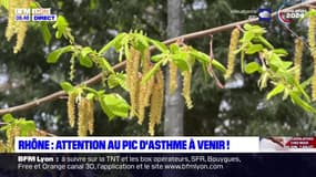 Rhône: attention aux pics d'asthme liés aux orages