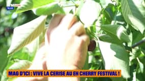 MAG D'ICI du lundi 4 août - vive la cerise au Eh Cherry Festival !