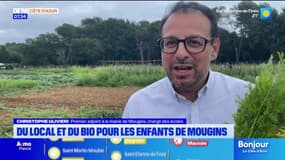 Mougins: un agriculteur produit des légumes bio pour la cantine en échange d'un terrain gratuit