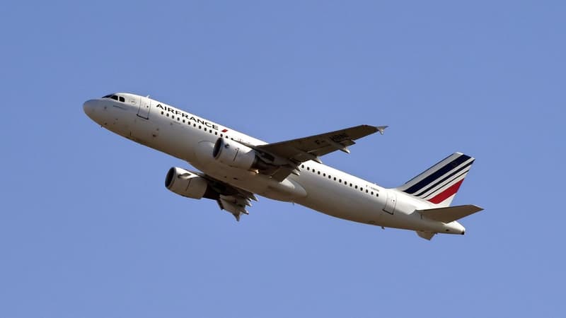 L'alliance commerciale avec Accor ne rapporterait que quelques millions d'euros à Air France.