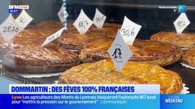 Rhône: à Dommartin, des fèves 100% françaises
