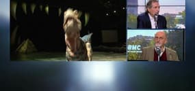 Stop aux idées reçues: comment les dinosaures ont-ils vraiment disparu?