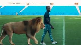 Maxwel Cornet