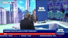 La carte Immo: Comment investir dans la forêt française ? par Pascal Bonnefille - 09/06