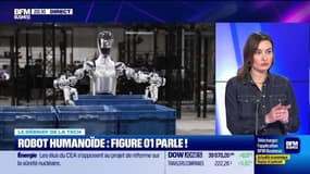 Robot humanoïde : Figure 01 parle ! - 13/03