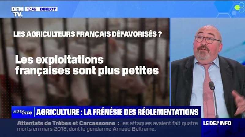 Agriculteurs: l'indépendance alimentaire de la France est-elle menacée?