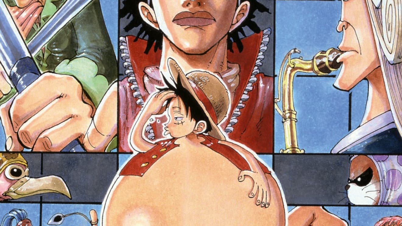 La couverture du tome 13 de "One Piece" La couverture du tome 13 de "One Piece"