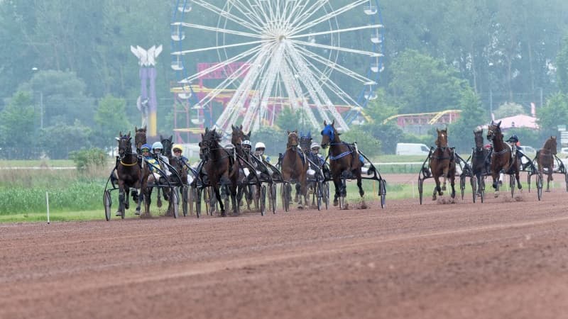 Les pronos hippiques du 10 mai 2025