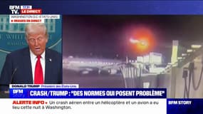 Crash à Washington: "Ça n'aurait pas dû se produire", assure Donald Trump