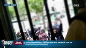 Deux militants antispécistes jugés ce mardi
