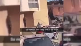 Capture d'écran d'une vidéo publiée sur Snapchat sur laquelle on voit une personne tirer avec une arme à feu à Avignon, le 16 mars 2024.