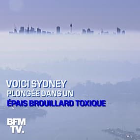 Les images de Sydney plongée dans un épais brouillard toxique à cause des incendies 