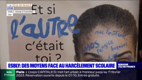 Seine-et-Marne: des moyens face au harcèlement scolaire
