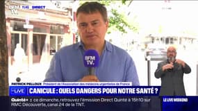 Canicule: "Nous ne sommes pas fait pour vivre sous 48°C", souligne Patrick Pelloux (Médecins Urgentistes de France)