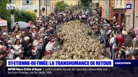Saint-Etienne-de-Tinée: la fête de la transhumance de retour ce samedi