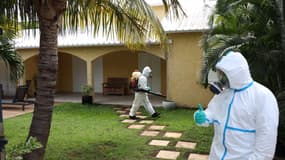 Une opération de fumigation d'une zone pour empêcher les moustiques, vecteurs de la dengue, de se reproduire, à La Possession, le 28 avril 2020.