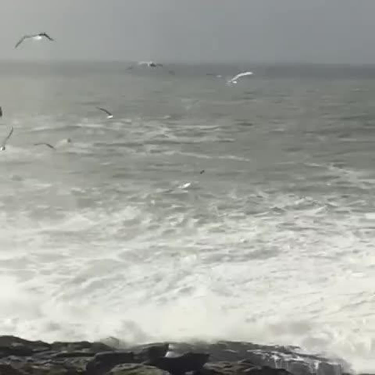 placeholder video