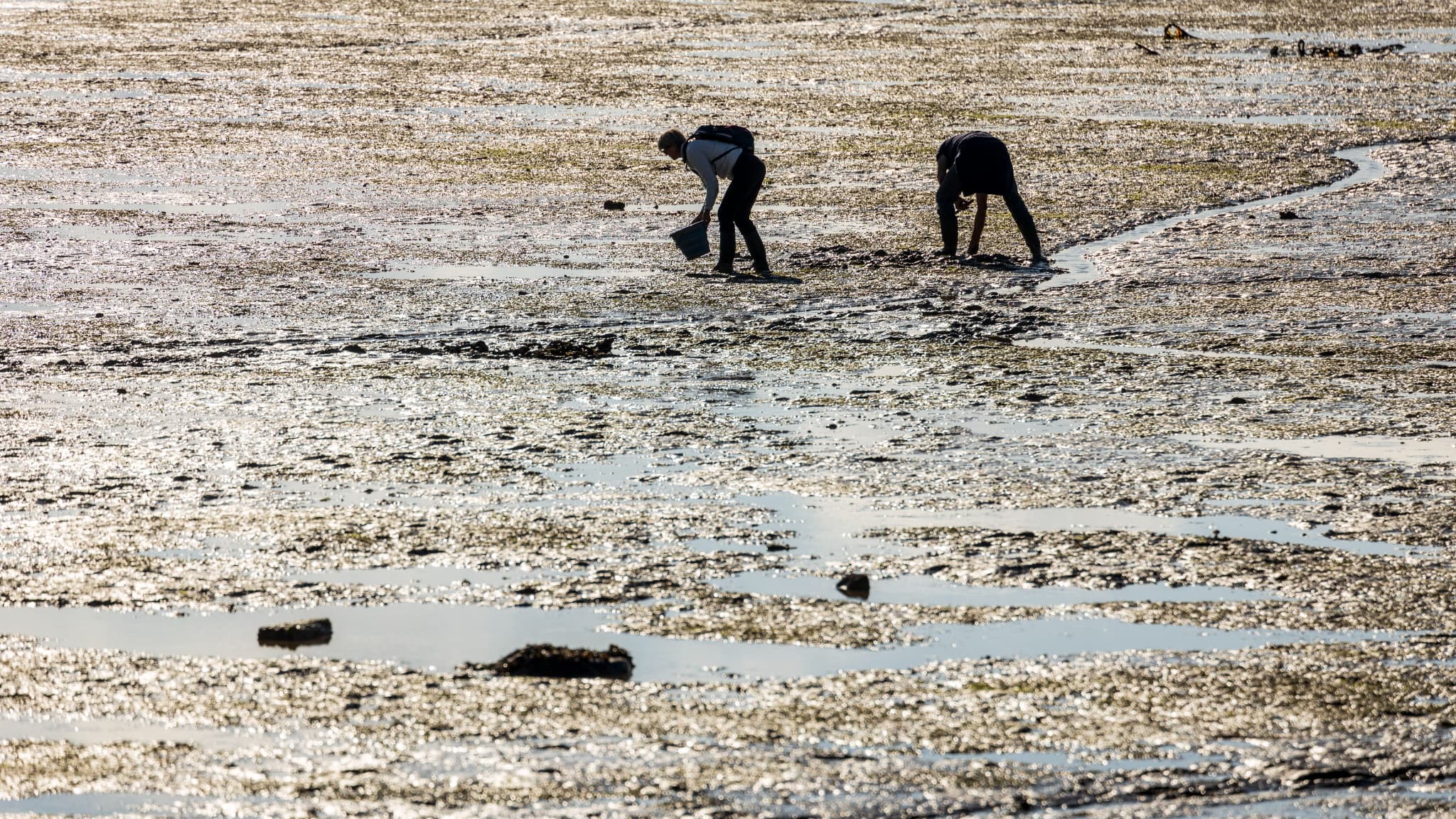 DE GRANDES MARÉES ATTENDUES EN CHARENTE-MARITIME, LA PRÉFECTURE APPELLE À LA PRUDENCE
