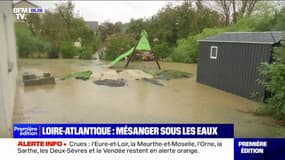 "J'ai pleuré, je suis dégoûtée": les habitants de Mésanger en Loire-Atlantique constatent les dégâts causés par la crue de la Beusse 
